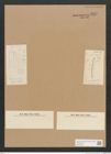 Diatomeae indet. Zeichnungen Sammlung Grunow Nr. 4547 (NHMW-BOT-W0372506)